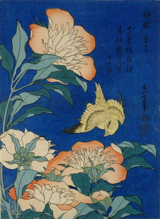 Tsumego Collection: Weiqi Life&Death Drills